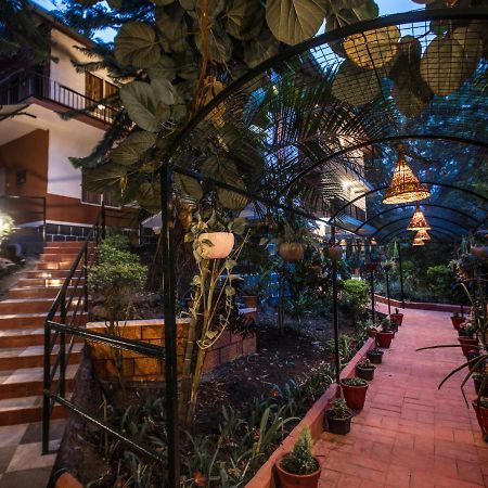 Spice Jungle Resort Munnar Bagian luar foto