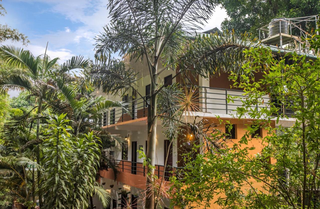 Spice Jungle Resort Munnar Bagian luar foto